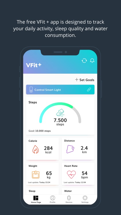 VFit+