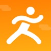 FitStep Pro icon