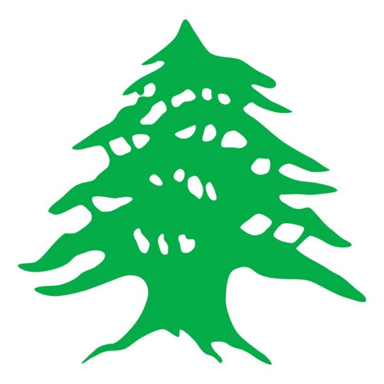 Baladiyati 2025