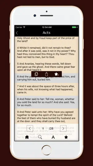 Douay-Rhiems Catholic Bible screenshot 3