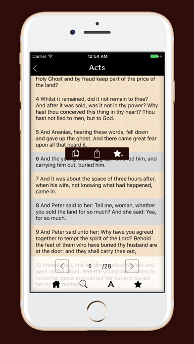 Douay-Rhiems Catholic Bible app screenshot 3