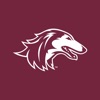 SIU Salukis icon