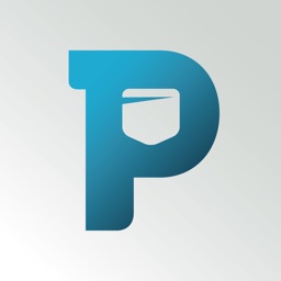 Pocket Team