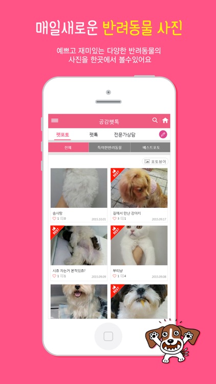 노트펫 screenshot-4