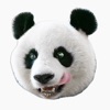 Panda's Head icon