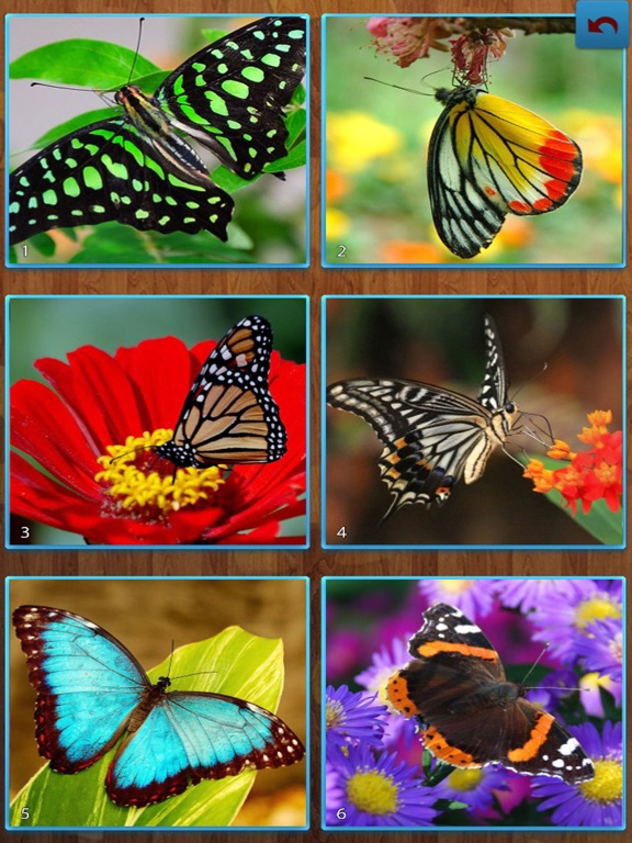 Screenshot #5 pour Butterfly Jigsaw Puzzle Game