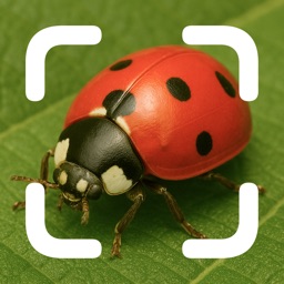 Insect Bug Identifier, Finder
