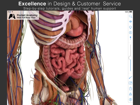 Pocket Anatomy iPad app afbeelding 4
