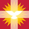 PG Haarlem icon