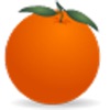 BlackBox FMS icon