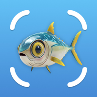 Fish Identifier AI FishCam