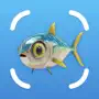 Fish Identifier AI: FishCam