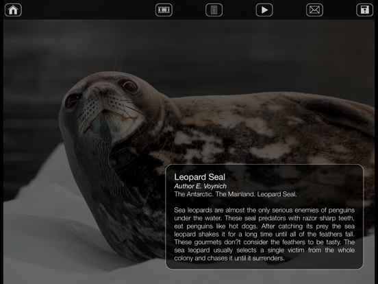 Album Antarctic iPad screenshot 4 - Photo & Video app