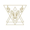 Healing Festival icon