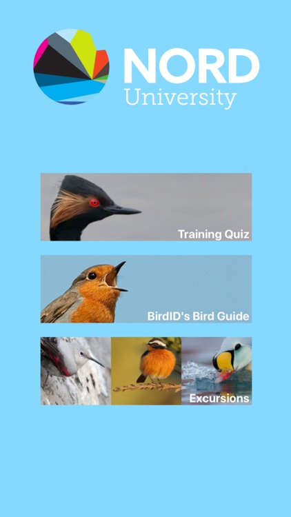 BirdID Nord University