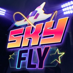 Sky Fly Math