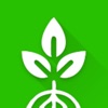Root Mobile app icon - Business app for iPhone