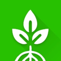 Root Mobile app icon - Business app for iPhone