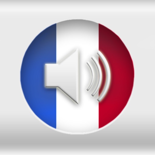 Learn French Words Flashcards