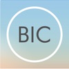 DELTA BIC Zone icon
