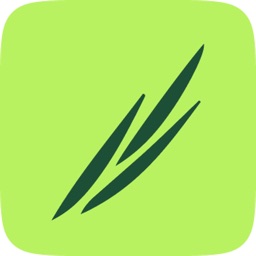 WealthBuddy