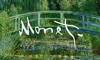 Monet Art icon