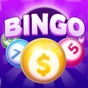 Bingo Cash app download