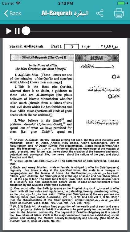 The Holy Quran English