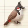 Birder Diary