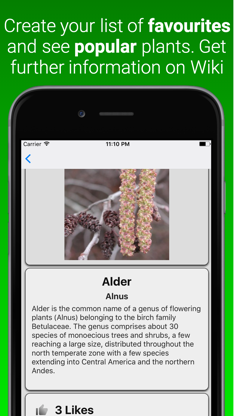 Plant Dictionary screenshot 3