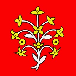 Cejkov