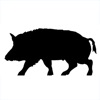 BoarBuster Camera Management icon