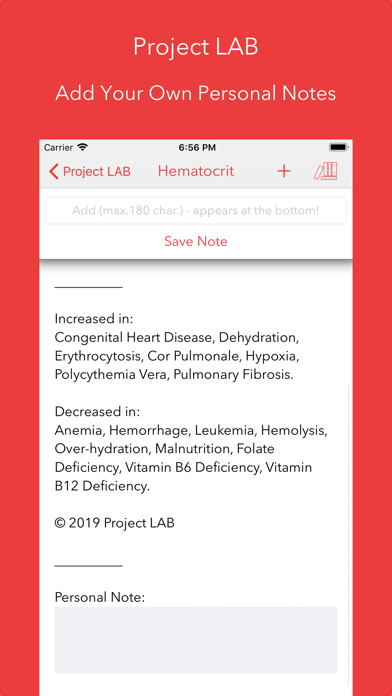 Project LAB screenshot