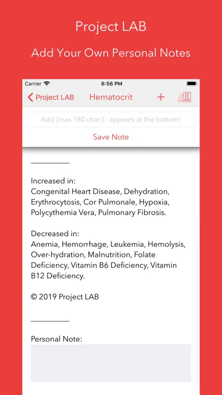Project LAB screenshot 5 of 6