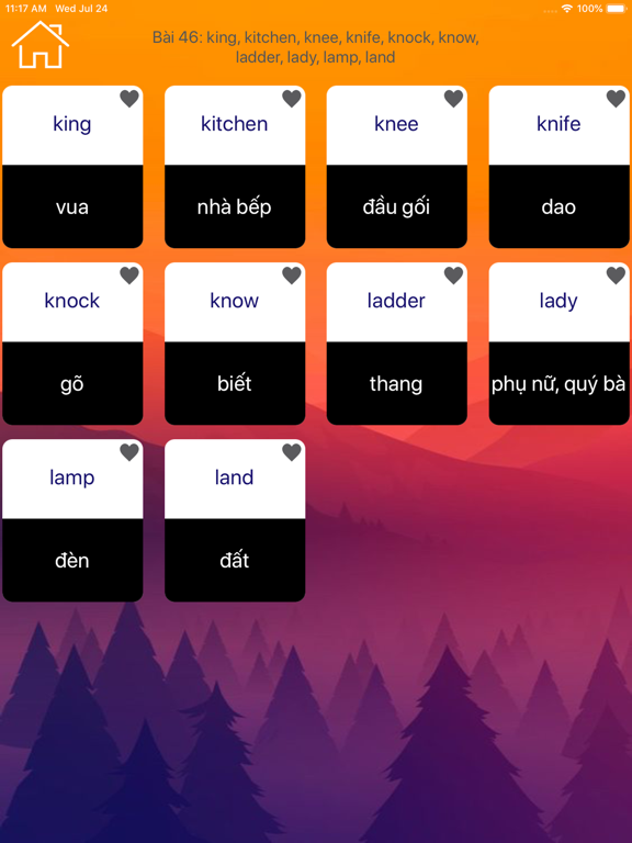 Học Tiếng Anh Giao Tiếp Pro iPad screenshot 7 - Education app