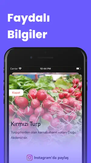 Mevsiminde Sağlıklı Beslen screenshot 2