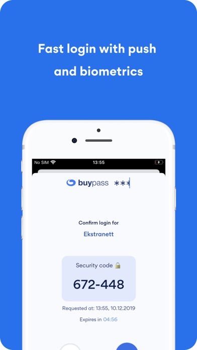 Buypass Code Screenshot
