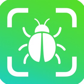 Bug Identifier : Clicada