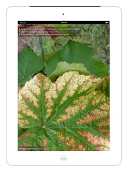 Crop Nutrient advisor screenshot 6