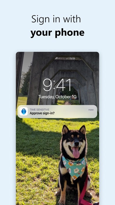 Microsoft Authenticator Screenshot