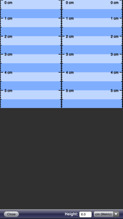 Screenshot #2 pour Ruler App