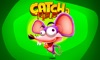Catcha Mouse