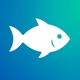 Fish identifier by FishID app icon - Reference app for iPhone