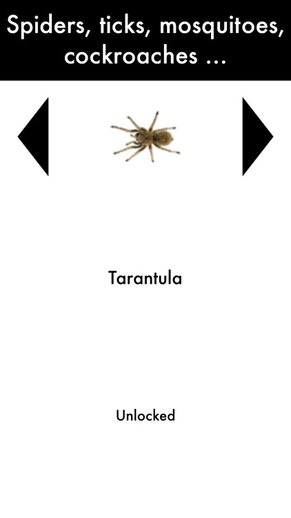 Bug Plague - Play on Watch screenshot-5