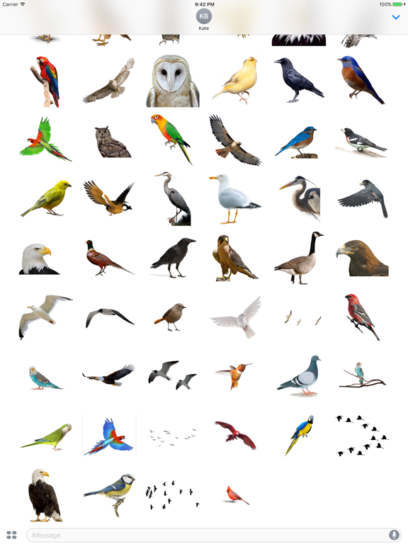 Flock of Birds Stickers iPad screenshot 2 - Stickers app