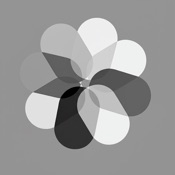 Snapsnob - Clean Your Gallery