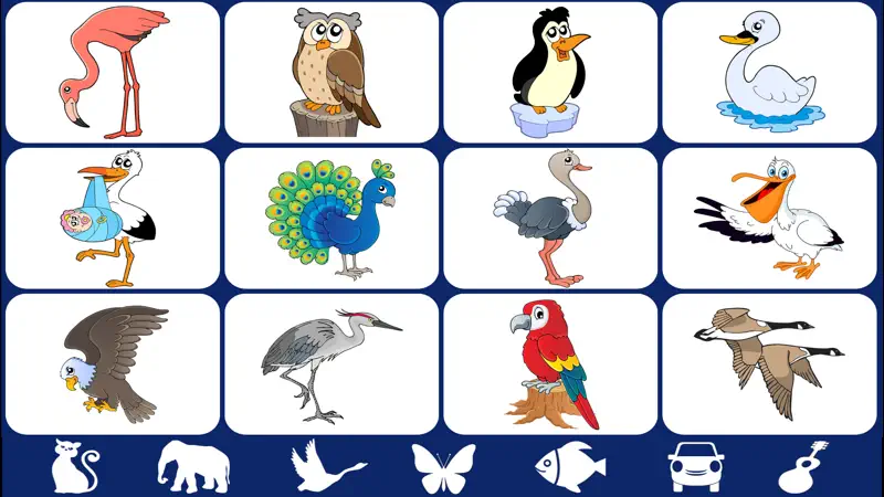 Video Touch: Aves Salvajes screenshot 1 of 5