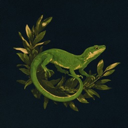 Suivi Reptile - Cage