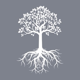 Arborense Diocesan Museum