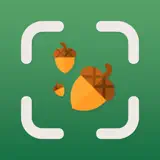 Seed Identifier - AI Scanner - App Icon